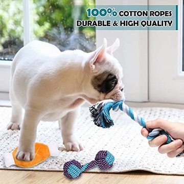 BUIBIIU Dog Teething Toys Assorted Chew Toys for Puppies