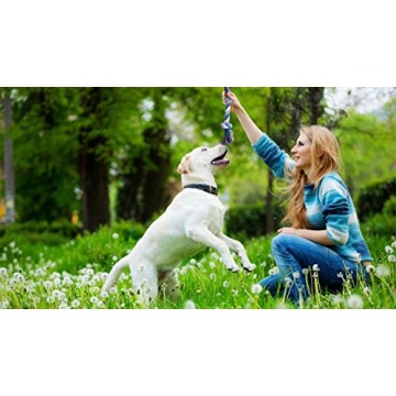 BUIBIIU Dog Teething Toys Assorted Chew Toys for Puppies