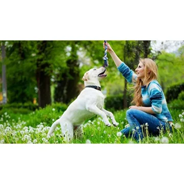 BUIBIIU Dog Teething Toys Assorted Chew Toys for Puppies