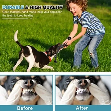 BUIBIIU Dog Teething Toys Assorted Chew Toys for Puppies