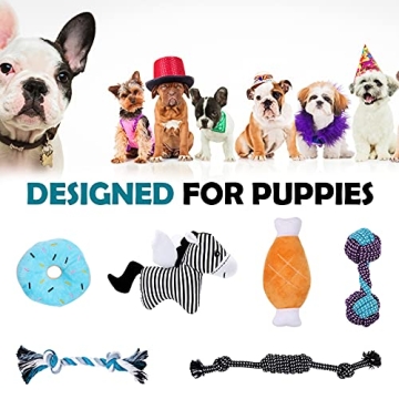 BUIBIIU Dog Teething Toys Assorted Chew Toys for Puppies
