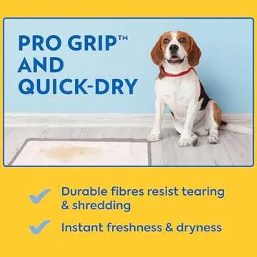 OUT! Petcare XXL Dog Training Pads, Heavy Duty Dog Pee Pads XXL, Jumbo Puppy Pads, Wee Wee Pads for Dogs and Puppies, Dog House Training, Leak Proof, Safe, Disposable, 26"x30", 30 Ct