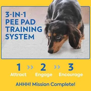 OUT! Petcare XXL Dog Training Pads, Heavy Duty Dog Pee Pads XXL, Jumbo Puppy Pads, Wee Wee Pads for Dogs and Puppies, Dog House Training, Leak Proof, Safe, Disposable, 26"x30", 30 Ct