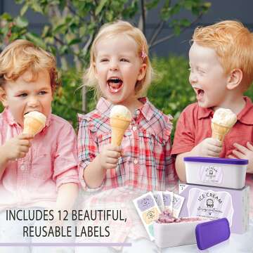 Reusable Ice Cream Tub Containers - Set of 2