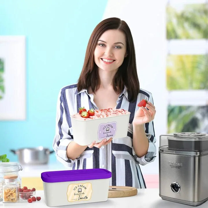 Reusable Ice Cream Tub Containers - Set of 2