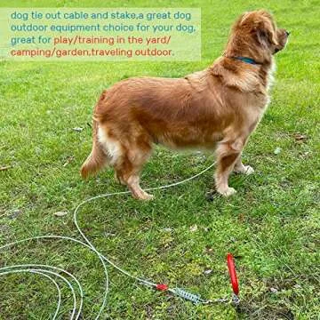 Dog Tie Out Cable and Stake - Heavy Duty Long Dog Leash 30ft for Meidum Large Dogs - Tangle Free Rope Dog Leash with Buffer Spring for Camping Training Hiking Playing in The Yard
