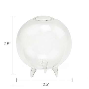 Chive - Small Clear Glass Bud Vase for Short Flowers, Unique Low Sitting Flower Vase, Cute Floral Vase for Home Decor, Weddings, Floral Arrangements, Arranging, Bulk Pack of 6 Vases (Small)