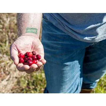 Vincent Family Dried Cranberries Infused With Unsweetened Apple Juice, 9.5 Oz