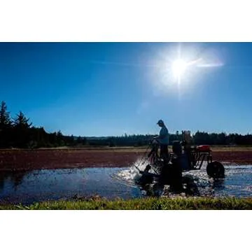 Vincent Family Dried Cranberries Infused With Unsweetened Apple Juice, 9.5 Oz