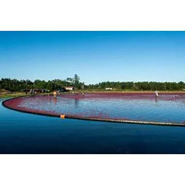 Vincent Family Dried Cranberries Infused With Unsweetened Apple Juice, 9.5 Oz