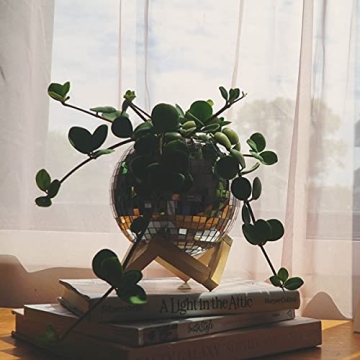 Lunar Sol Disco Ball Planter with Macrame and Stand