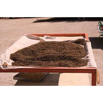 Brundo Spice Company Kibbeh Manteria | Ethiopian Spiced Butter Seasoning | Made & Imported from Ethiopia | Non-GMO & Organic | Essential for Niter Kibbeh (Ethiopian Ghee) | 2oz