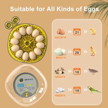 IBKINXX Incubator for Hatching Eggs-12 Egg Capacity, Automatic Egg Turner, Temperature & Humidity Control, 360° Viewing for Chicken, Duck and Quail Eggs