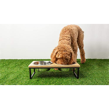 Elevate Your Pet's Dining Experience with GF Pet Feeder