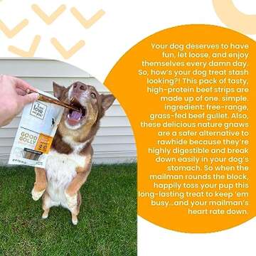 I and love and you Good Golly Gullet Stix - Beef - Rawhide Alternative, Single Ingredient, Free Range Grass Fed Beef, 6in, 48ct