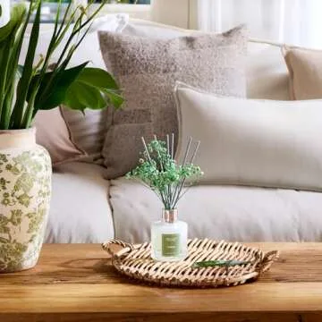 Airkeep Reed Diffuser Set - 3.38 fl oz(100ml) Bamboo Scent Diffuser Home Fragrance Diffuser Set Includes 8 Reed Diffuser Sticks,Home Decor & Office Decor, Fragrance and Gifts