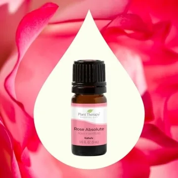 Plant Therapy Rose Absolute Essential Oil 100% Pure and Natural 5 mL
