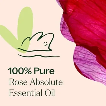 Plant Therapy Rose Absolute Essential Oil 100% Pure and Natural 5 mL