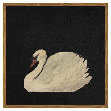 InSimSea Framed Canvas Wall Art Swan Art Framed Wall Decorations, Grace Swan Painting Pictures Rusti...