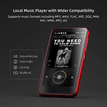 MP3 Player with Bluetooth and WiFi,MP3 Player with Spotify,Spotify Kids,Audible,Pandora,Amazon Music,4" Music Player MP4 Up to 1TB(80GB,Red_Black)