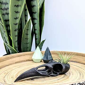 Raven Skull Air Plant Holder - Gothic Raven Air Planter - Bird Skull Witch Decor for Home - Crow Art...