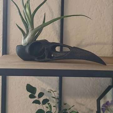 Raven Skull Air Plant Holder - Gothic Raven Air Planter - Bird Skull Witch Decor for Home - Crow Art Sculpture - Halloween Spooky Plant Pot