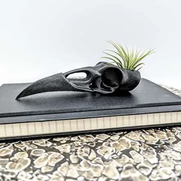 Raven Skull Air Plant Holder - Gothic Raven Air Planter - Bird Skull Witch Decor for Home - Crow Art Sculpture - Halloween Spooky Plant Pot