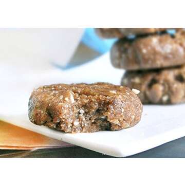 Papa Steve's No Junk Raw Protein Bars, Dairy Free Peanut Butter Choco Chip, 2.5 Oz, 10 Count