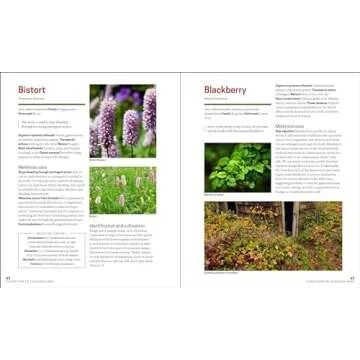 The Herbal Apothecary: 100 Medicinal Herbs and How to Use Them