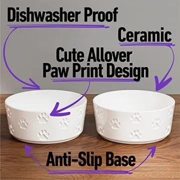 Durable Ceramic Dog Bowl Set with Anti-Slip Rings