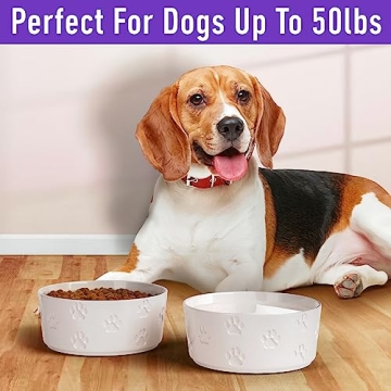 Durable Ceramic Dog Bowl Set with Anti-Slip Rings