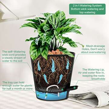 6 Inch Self Watering Plastic Planters, Warmplus Plant Pots for Indoor Outdoor with Drainage Holes, W...
