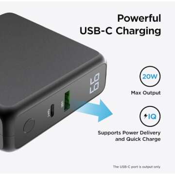 Sanag 5-in-1 FastCharge Wireless Charger Power Bank