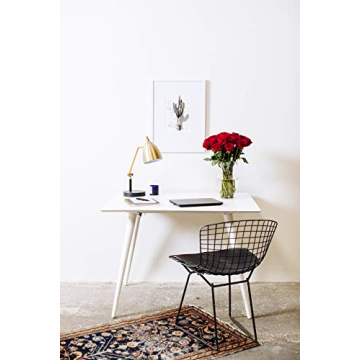 24 Stem Red Roses with Vase for Every Occasion