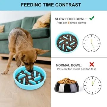 Anipaw 3-in-1 Dog Bowl Set for Healthy Eating