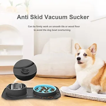 Anipaw 3-in-1 Dog Bowl Set for Healthy Eating