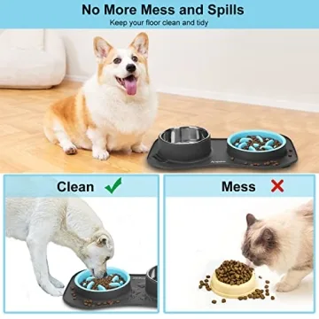 Anipaw 3-in-1 Dog Bowl Set for Healthy Eating