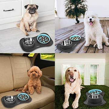 Anipaw 3-in-1 Dog Bowl Set for Healthy Eating