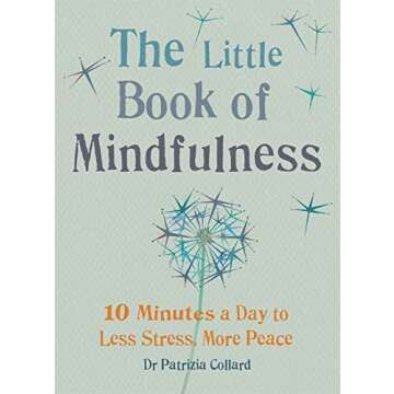The Little Book of Mindfulness: 10 minutes a day to less stress, more peace (The Little Book Series)
