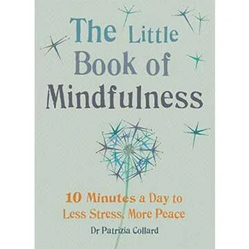 The Little Book of Mindfulness: 10 minutes a day to less stress, more peace (The Little Book Series)