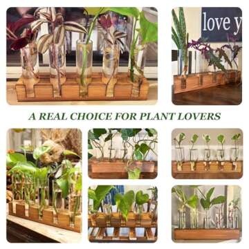 Renmxj Plant Propagation Station, Plant Terrarium with Wooden Stand, Plant Pots for Hydroponics, Small Birthday Gardening Gifts for Women Mom Plant Lovers Unique - 5 Glass Test Tubes Vases