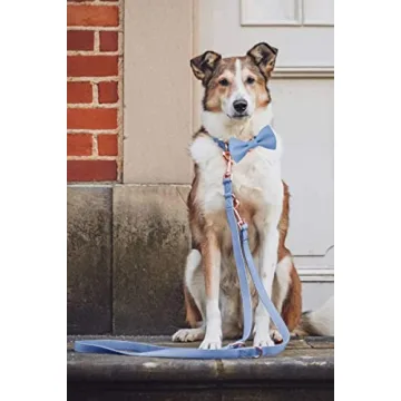 Soft Leather Bowtie Dog Collar For Small To Large Dogs