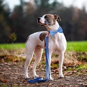 Soft Leather Bowtie Dog Collar For Small To Large Dogs