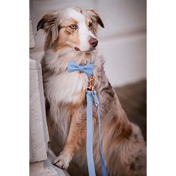 Soft Leather Bowtie Dog Collar For Small To Large Dogs