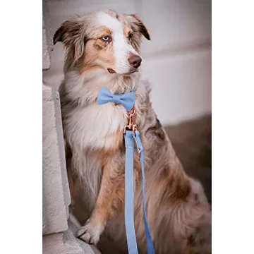 Soft Leather Bowtie Dog Collar For Small To Large Dogs