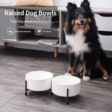 OMAYKEY 32 oz Ceramic Dog Cat Bowl Set of 2 with Elevated Metal Stand - 6 Inch Ceramic Round Pet Foo...