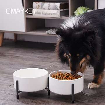 OMAYKEY 32 oz Ceramic Dog Cat Bowl Set of 2 with Elevated Metal Stand - 6 Inch Ceramic Round Pet Food and Water Feeder Bowl Dish for Cats & Dogs - White