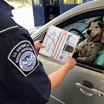 Stylish LumiMokki Car Registration & Insurance Holder