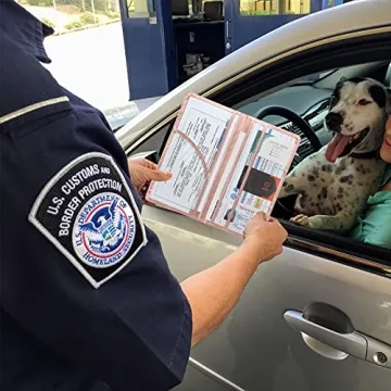 Stylish LumiMokki Car Registration & Insurance Holder