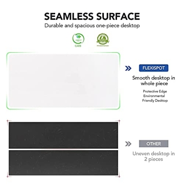 FLEXISPOT Quick Install Electric Height Adjustable Desk